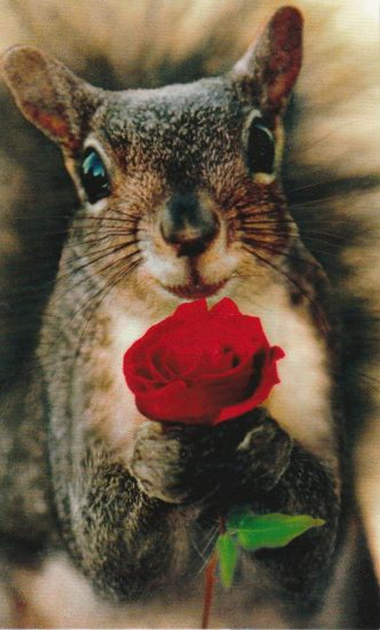 Squirrel with Rose Valentine's Card