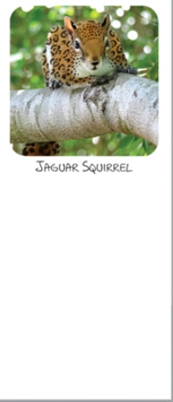 Jaguar Squirrel Magnetic Notepad