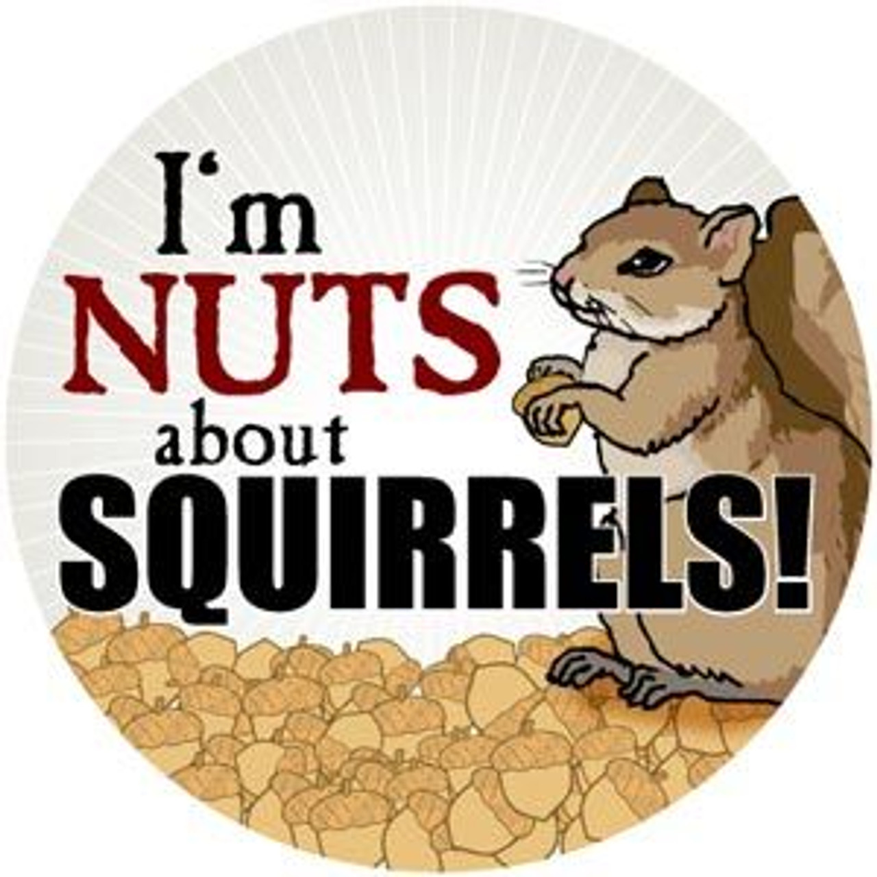 I'm Nuts about Squirrels! Magnet