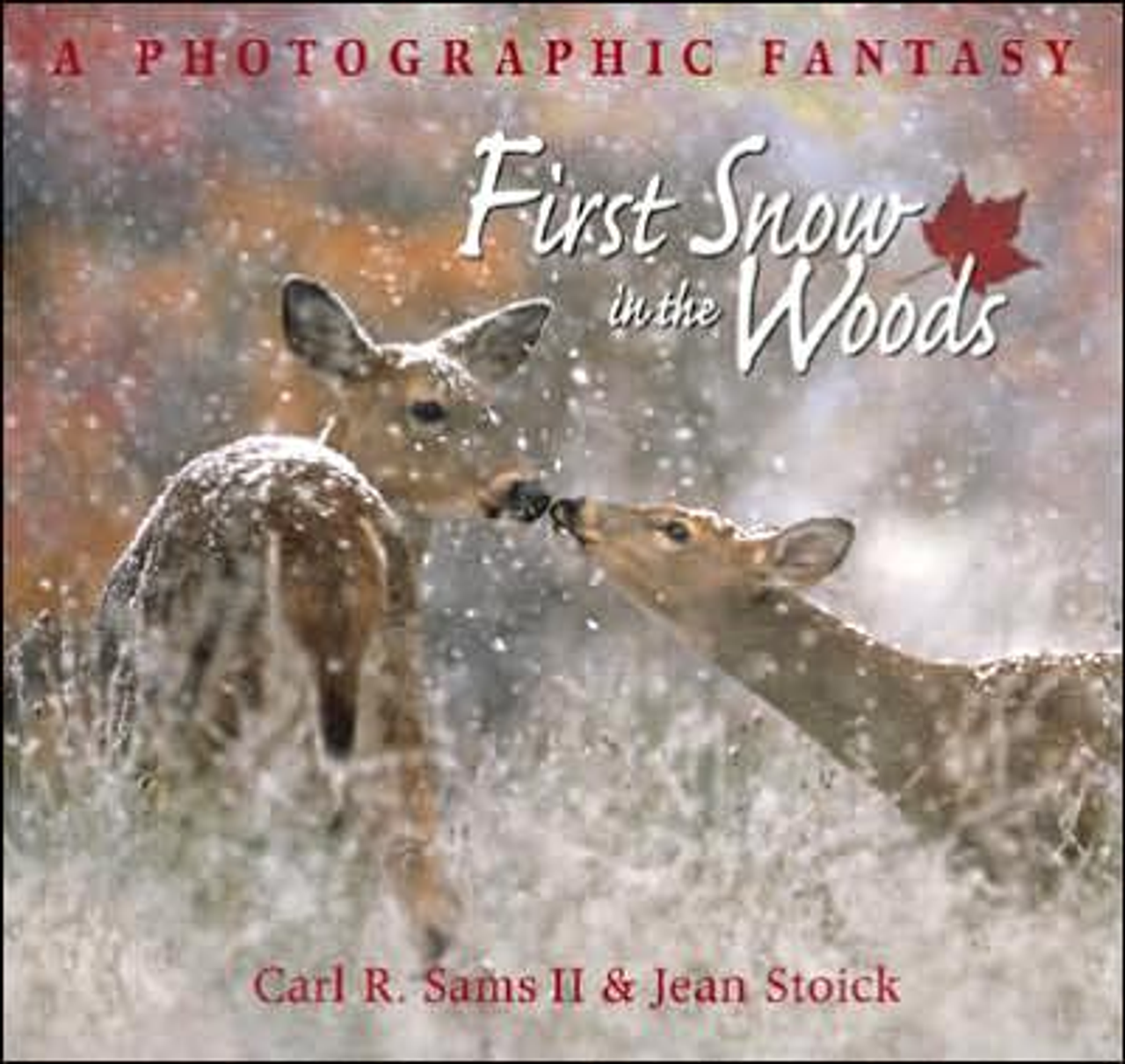 First Snow in the Woods Children's Book