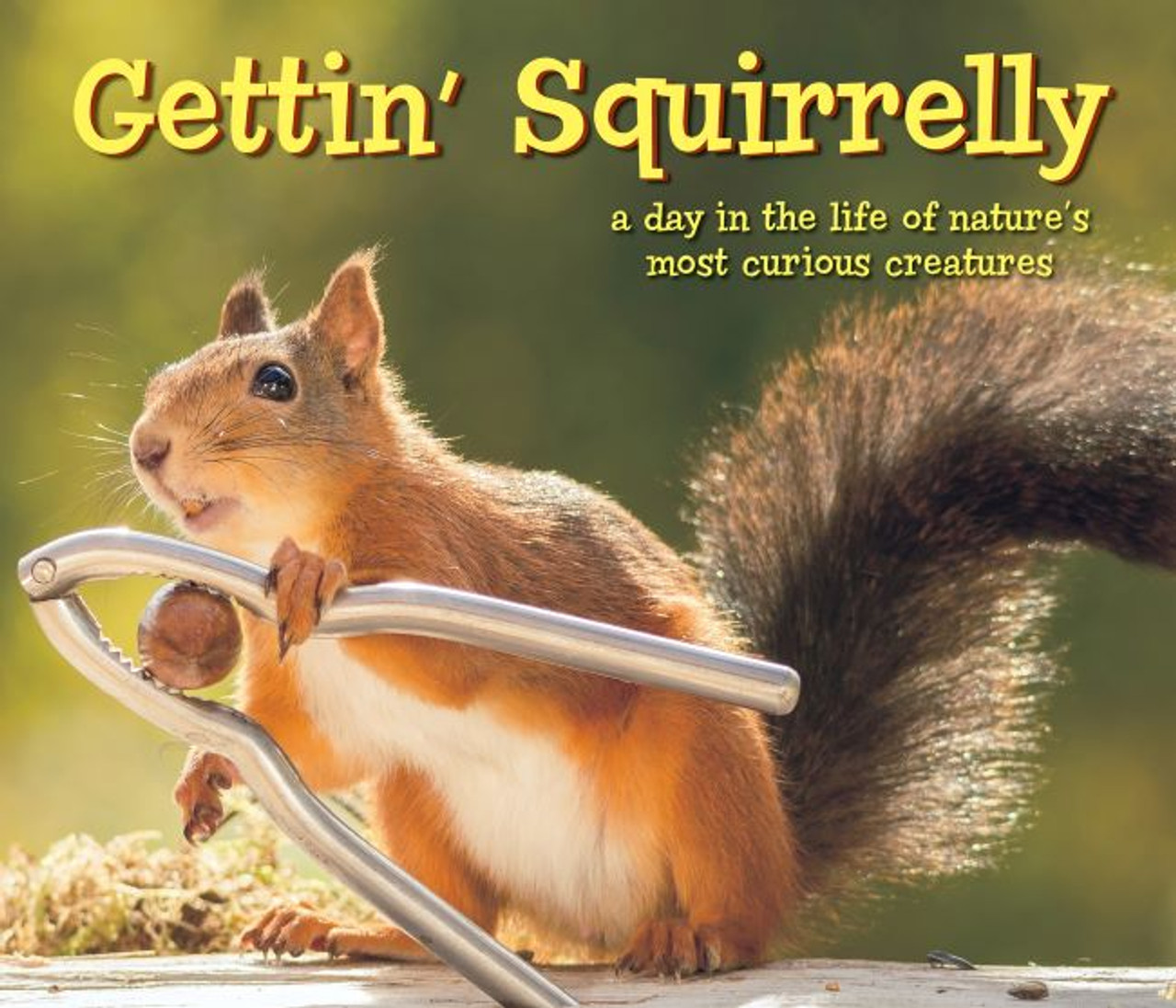 Gettin Squirrelly Book