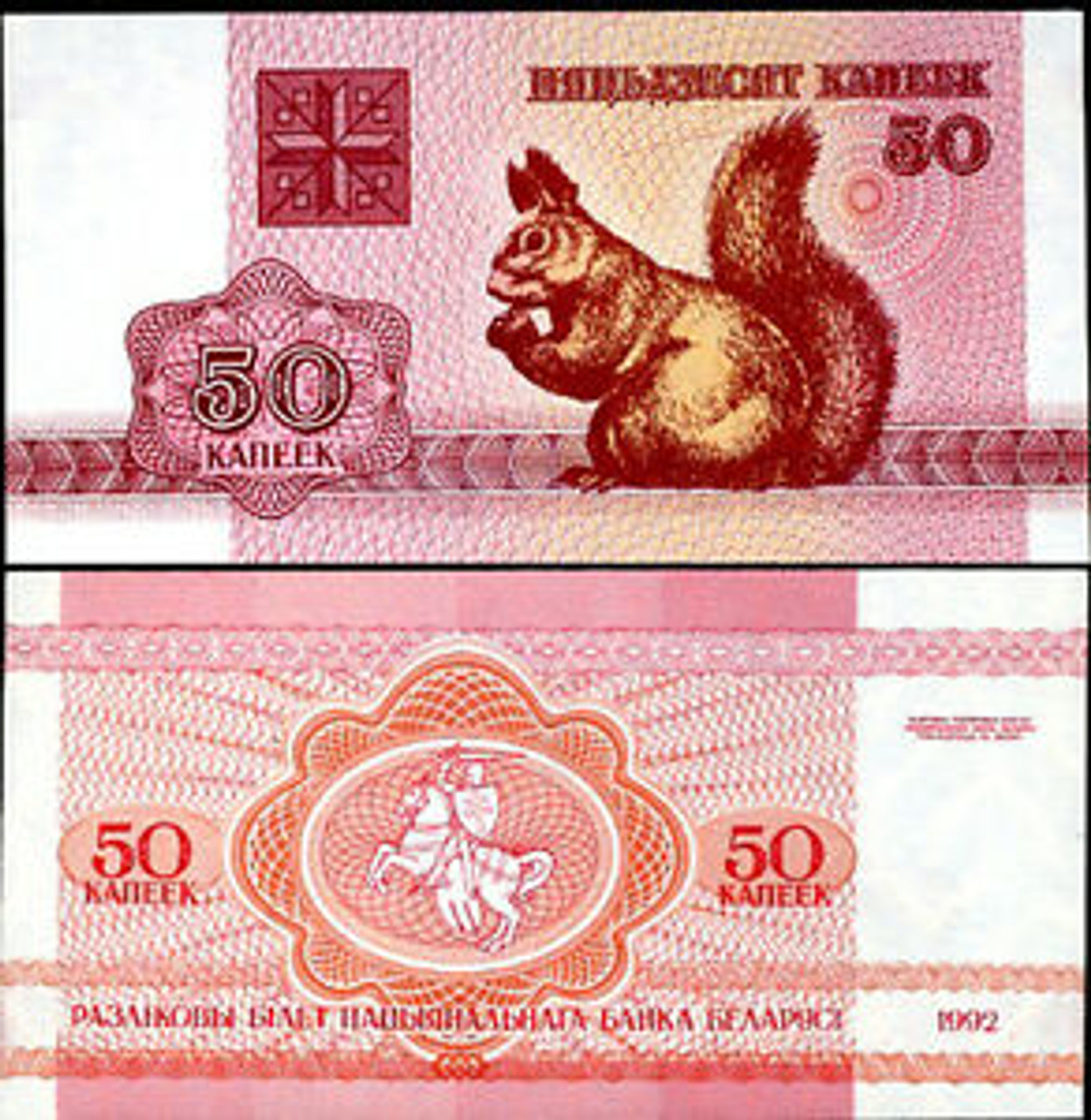 50 Kapeek Squirrel Notes