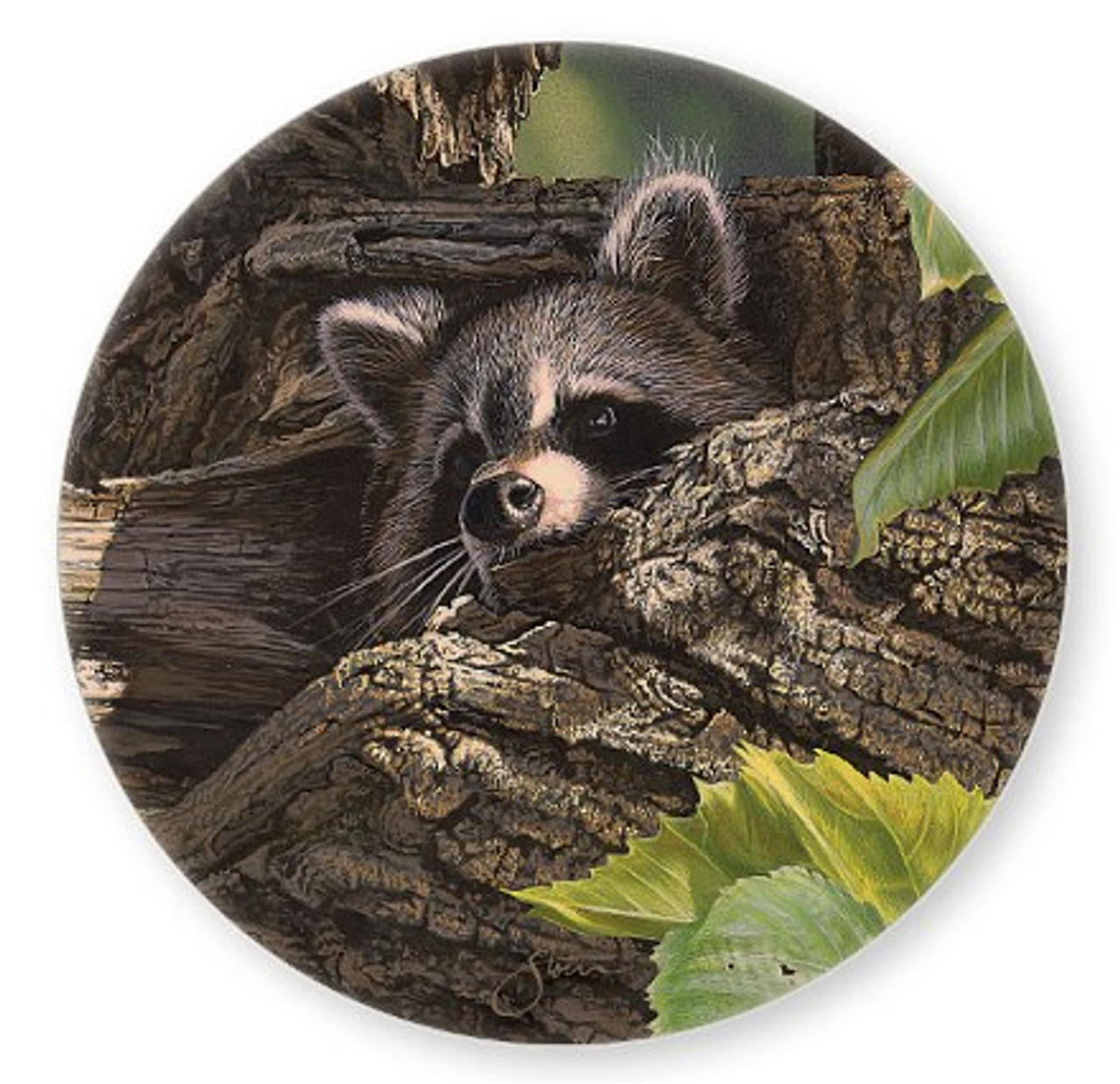 Raccoon Coasters