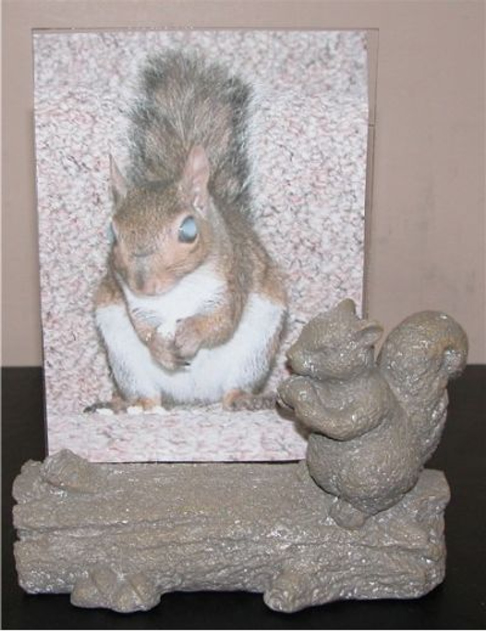 Squirrel on Log Picture Frame