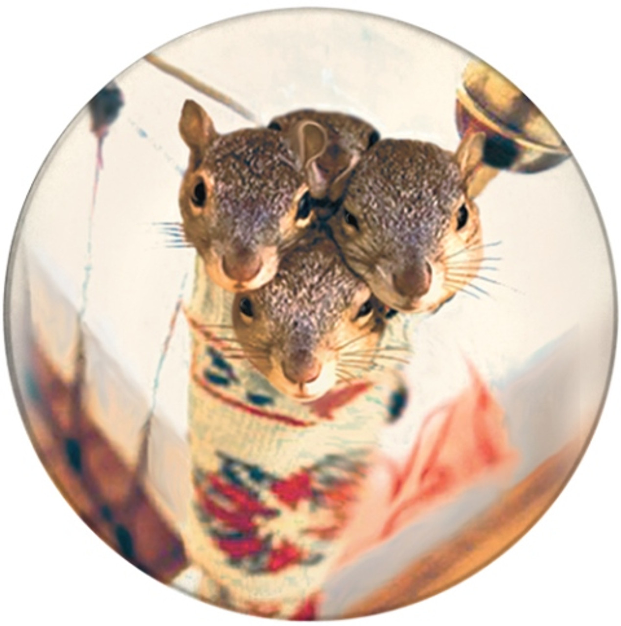 Stocking Stuffer Squirrel Sandstone Ceramic Coaster