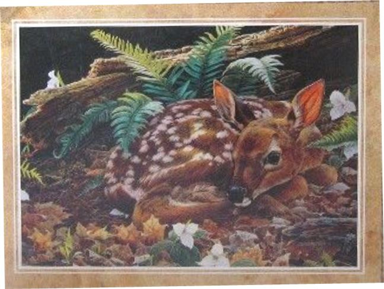 Baby Fawn Birthday Card