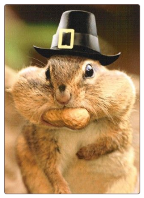 Chipmunk Thanksgiving Card