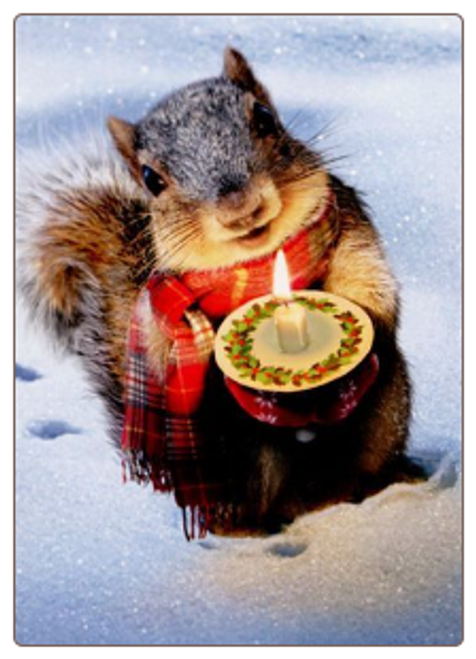 Snowy Squirrel Holds Candle Christmas Card