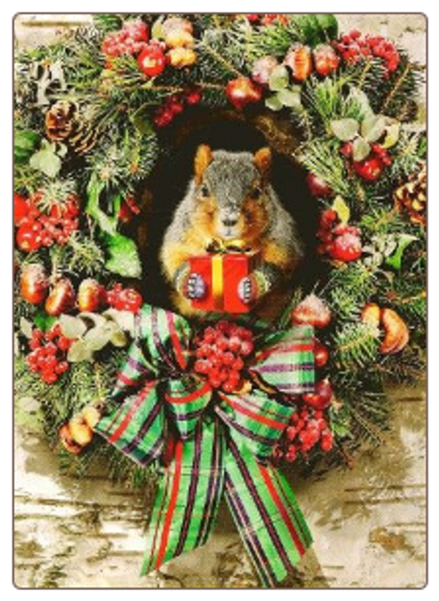 Squirrel with Gift Christmas Card