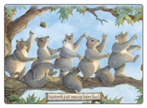 Squirrels Just Wanna Have Fun! Card