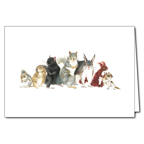 Squirrels  5x7 Blank Card