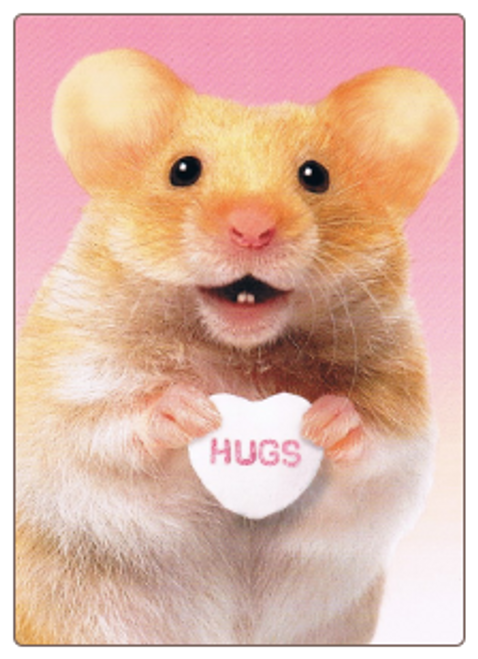 Hamster Valentine's Day Card