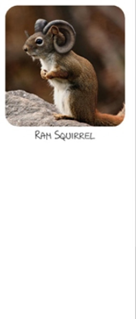 Ram Squirrel Magnetic Notepad