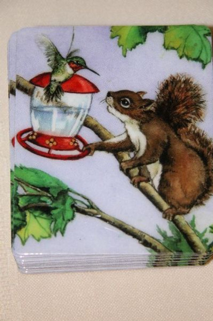 Squirrel and Hummingbird Magnet