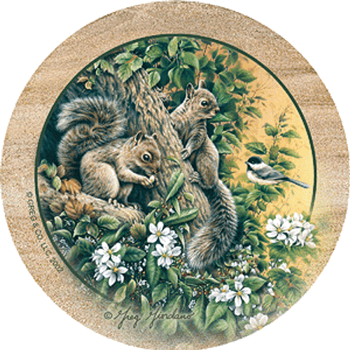 Squirrel Coasters