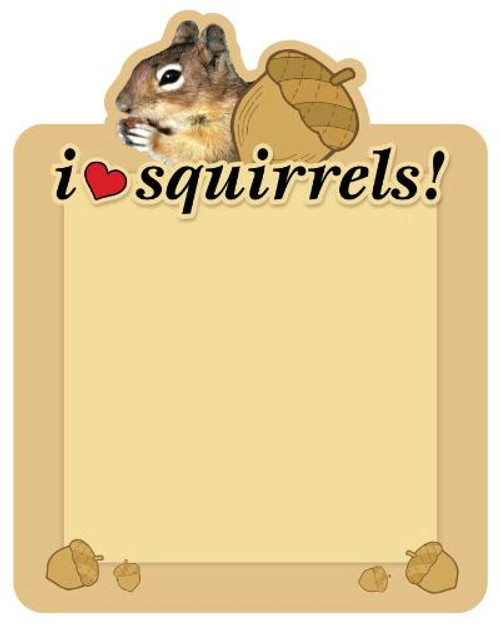 Squirrel Dry Erase Boards