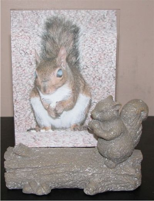 Squirrel on Log Picture Frame