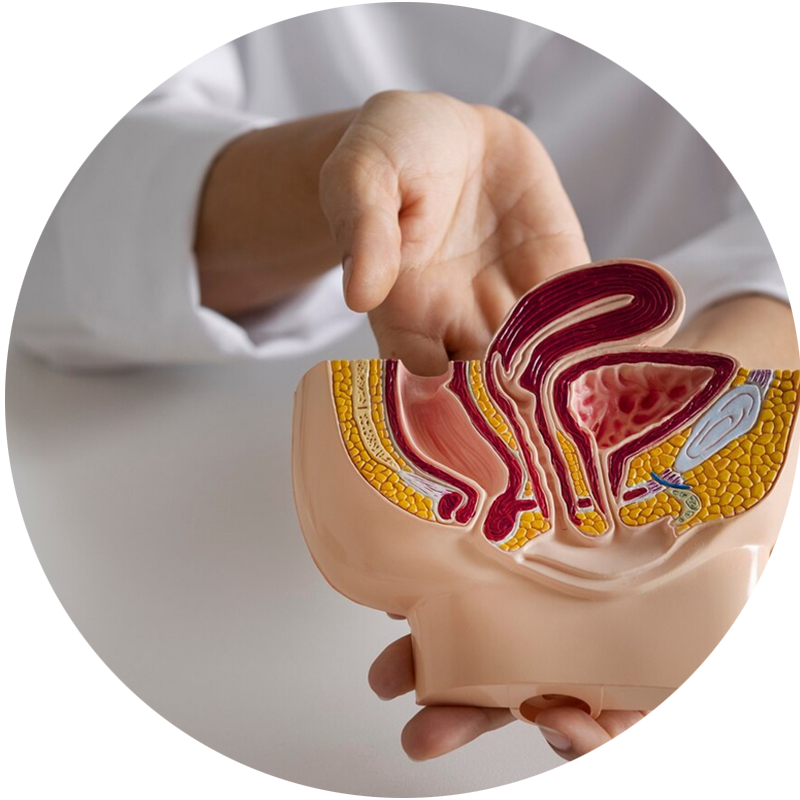 Amnálisis de glucosa y colesterol de Farmacia Carmen Ortiz en Benacazón (Sevilla)