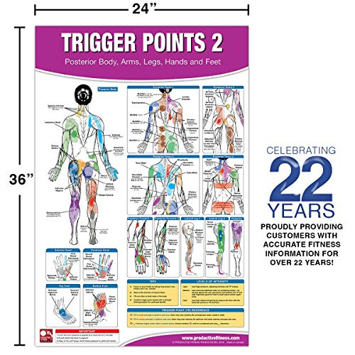 Trigger Point Therapy Chart/Poster Set; Acupressure Charts - Myofascial Trigger Points - Massage ...