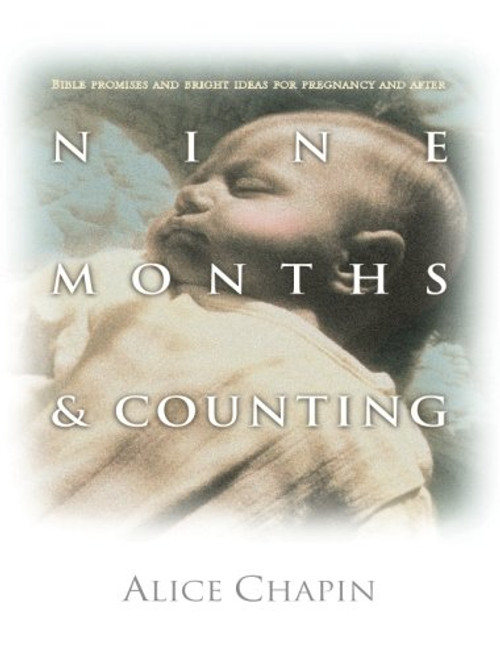 Nine Months & Counting: Bible Promises/Bright Ideas f/Pregnancy and After