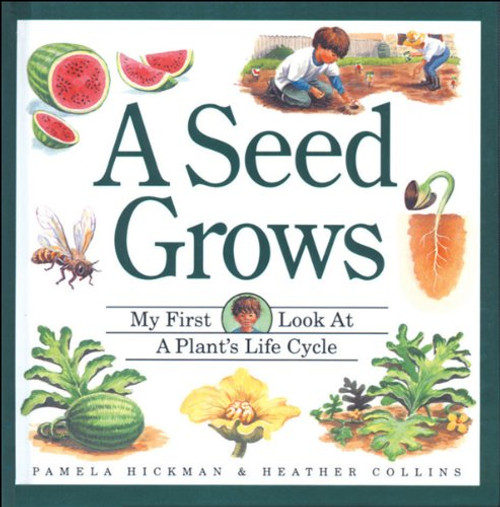 Seed Grows, A (My First Look at)