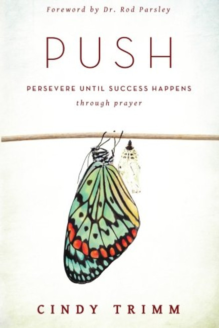 PUSH: Persevere Until Success Happens Through Prayer