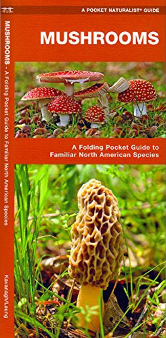 Mushrooms: A Folding Pocket Guide to Familiar North American Species (Pocket Naturalist Guide Series) (A Pocket Naturalist Guide)
