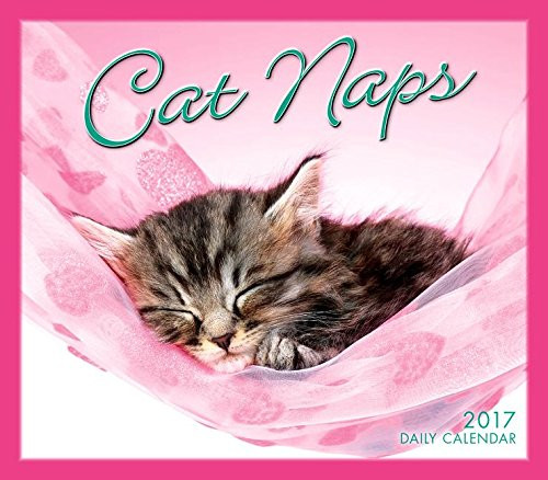 Cat Naps 2017 Boxed/Daily Calendar