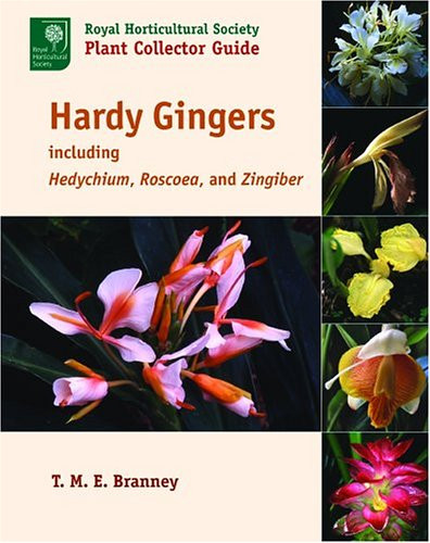 Hardy Gingers: Including Hedychium, Roscoea, and Zingiber (Royal Horticultural Society Plant Collector Guide)