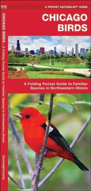 Chicago Birds: A Folding Pocket Guide to Familiar Species in Northeastern Illinois (A Pocket Naturalist Guide)