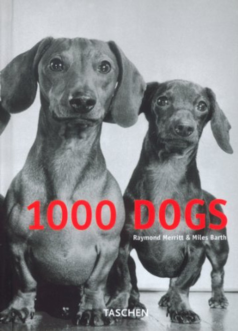 1000 Dogs (Klotz)