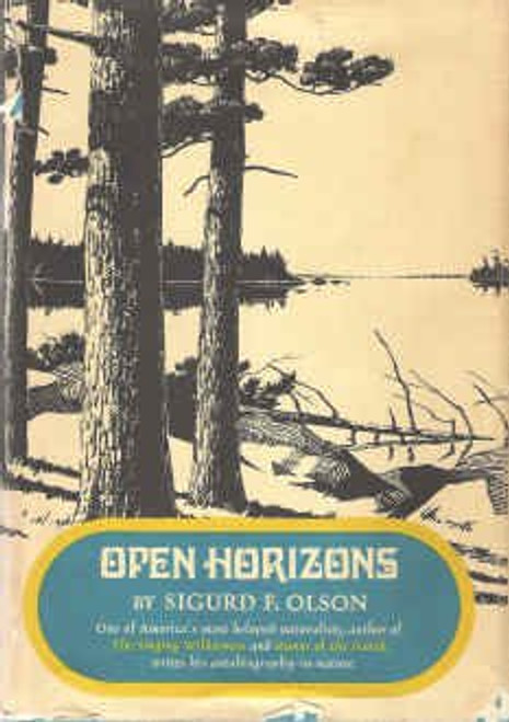 Open Horizons