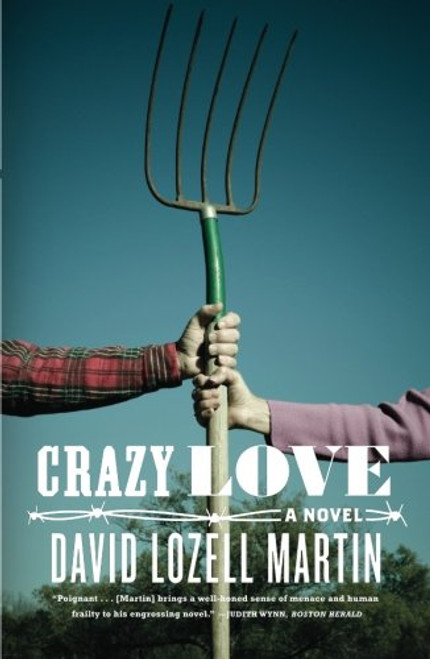 Crazy Love: A Novel