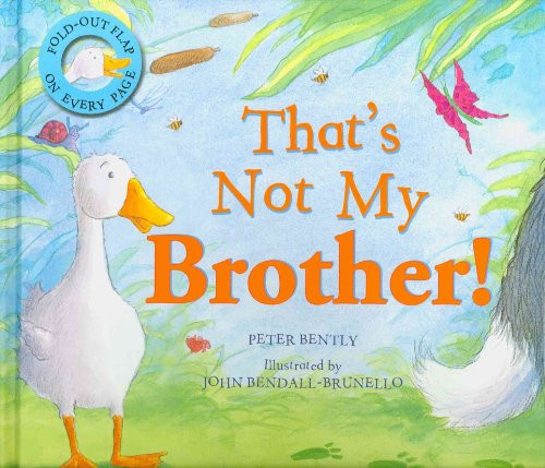 Thats Not My Brother! (Gatefold Picture Book)