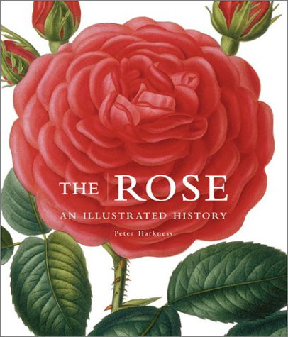 The Rose: An Illustrated History