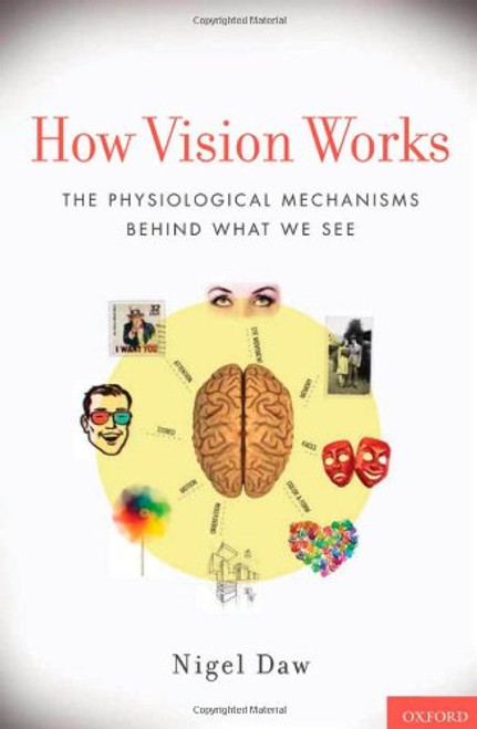 How Vision Works: The Physiological Mechanisms Behind What We See
