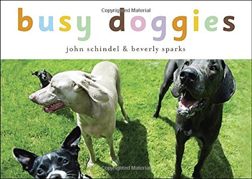 Busy Doggies!: A Busy Animals Book (A Busy Book)