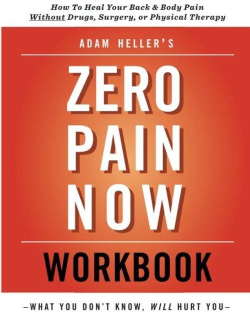 Adam Heller's Zero Pain Now Workbook
