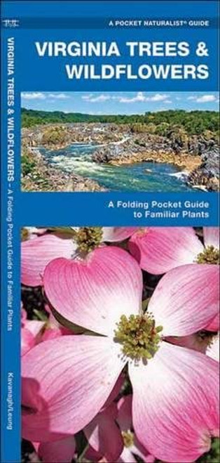 Virginia Trees & Wildflowers: A Folding Pocket Guide to Familiar Plants (A Pocket Naturalist Guide)