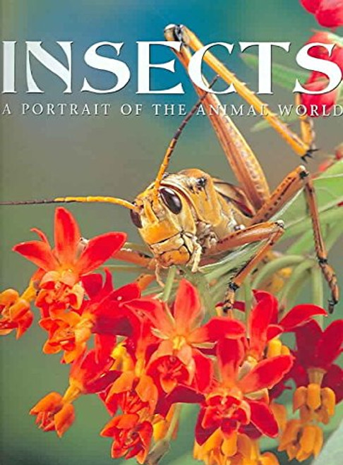 Insects: A Portrait of the Animal World