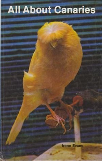 All About Canaries