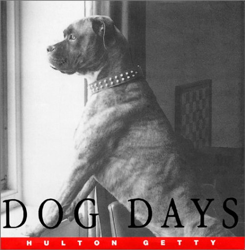 Dog Days: A Photographic Celebration