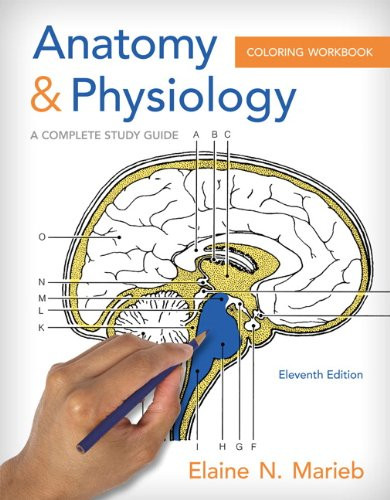 Anatomy & Physiology Coloring Workbook: A Complete Study Guide
