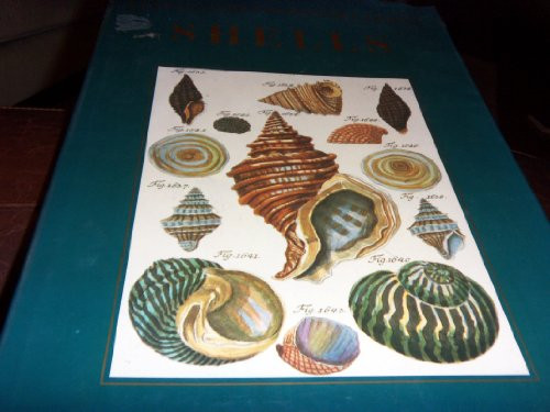 Shells - Classic Natural History Prints