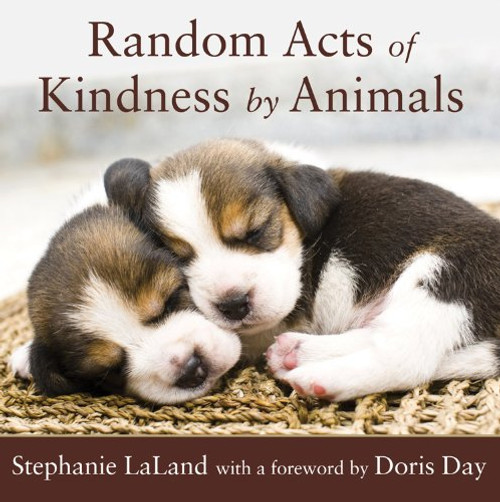 Random Acts of Kindness by Animals