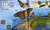 Insects & Spiders
