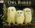 Owl Babies