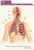 Barron's Anatomy Flash Cards, 2nd Edition