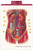 Barron's Anatomy Flash Cards, 2nd Edition