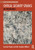 Critical Security Studies: An Introduction